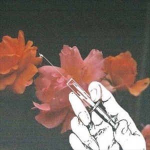 江疏影被强奸片
